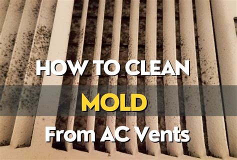 ac distribution box insulation is moldy|how to fix mold in air conditioner.